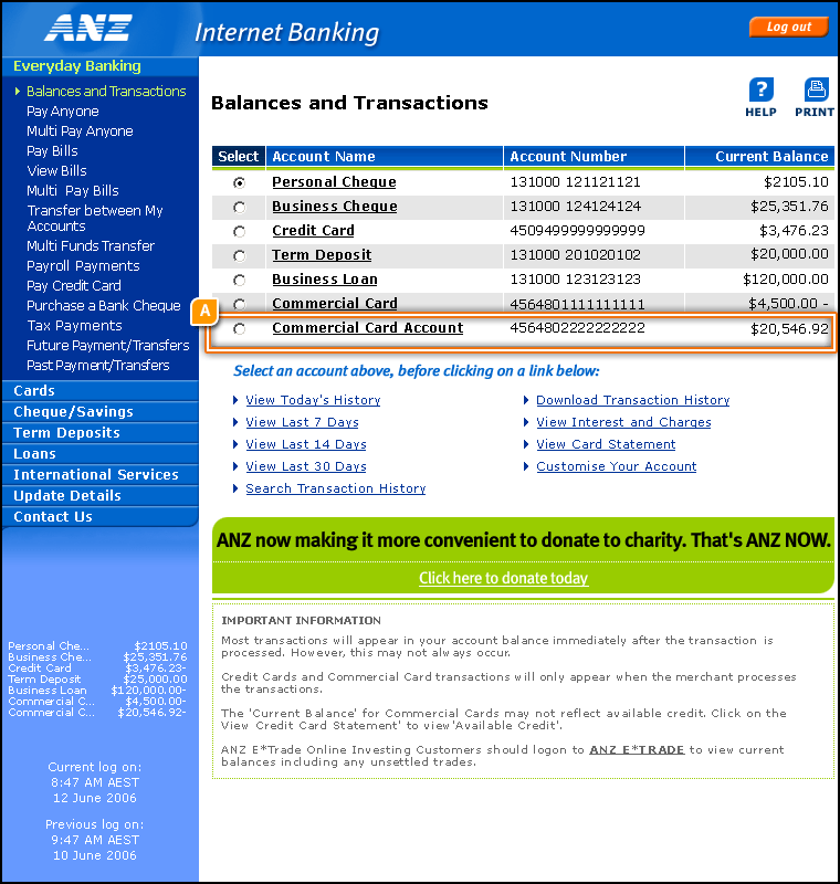 Balances and Transactions Summary Page