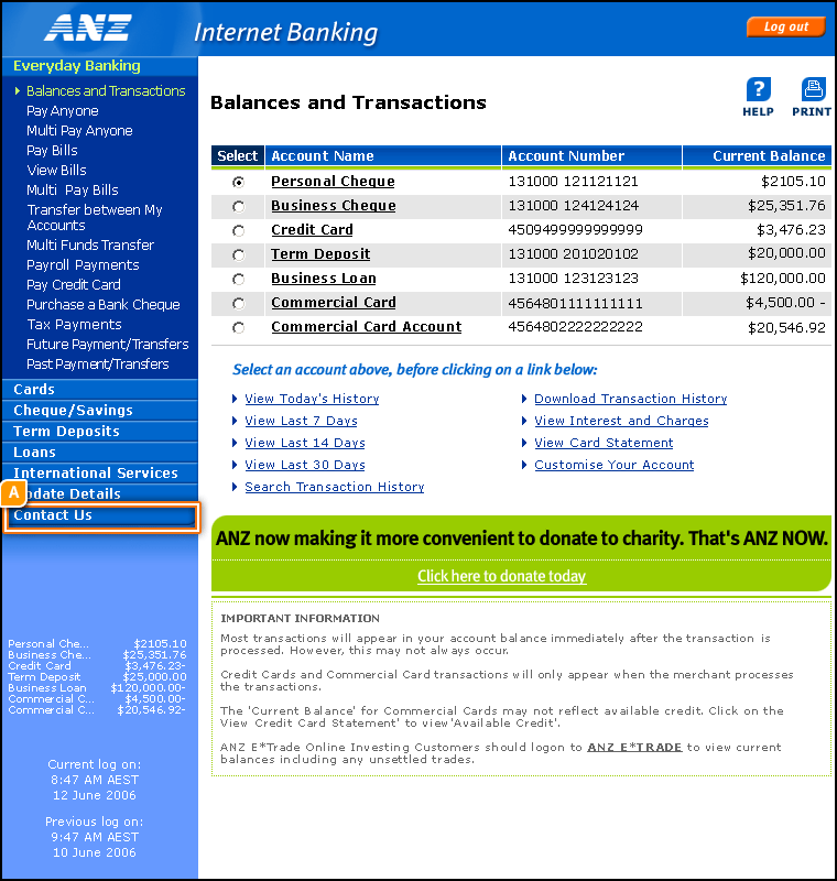 Balances and Transactions Summary Page