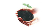 Environment