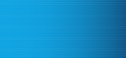 ANZ Snapshot