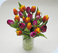 Put a spring in your step with some colourful blooms from Fastflowers and Justpicked