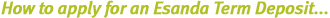 How to apply for an Esanda Term Deposit...