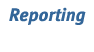 Reporting