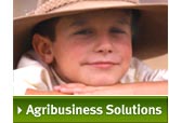 Agribusiness Solutions