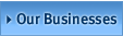 Our Businesses