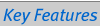Key Features