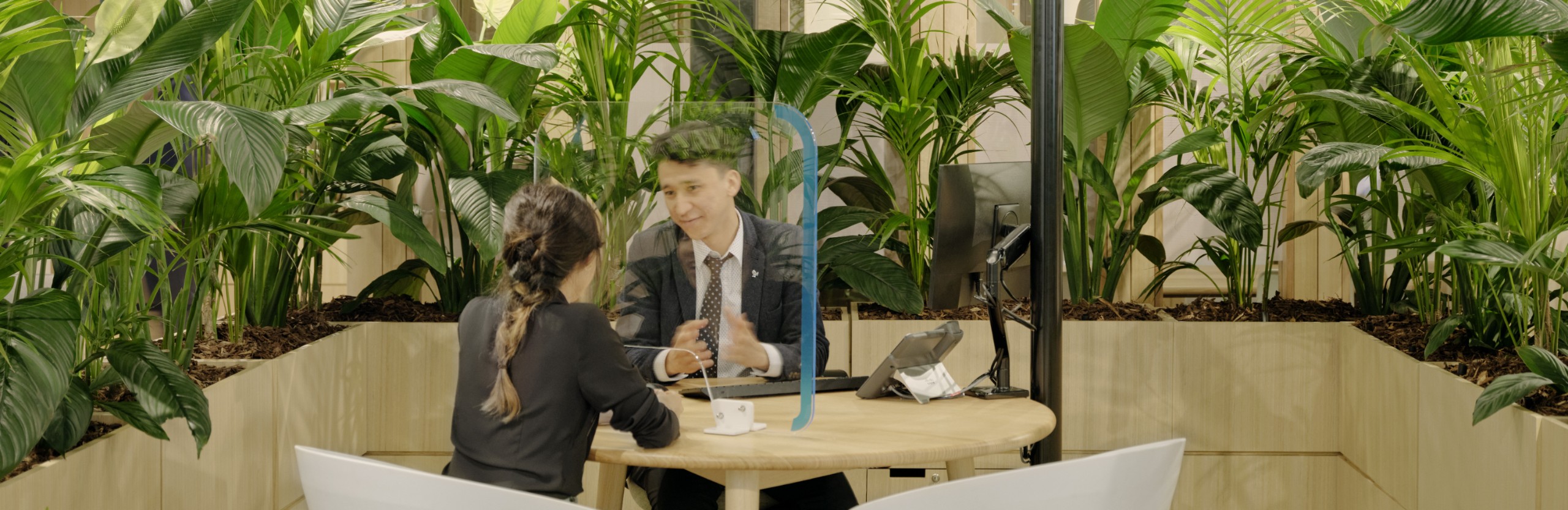 A male ANZ branch employees talks to a woman with dark hair. They are sitting at a desk surrounded by plants