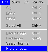 Netscape Picture 1