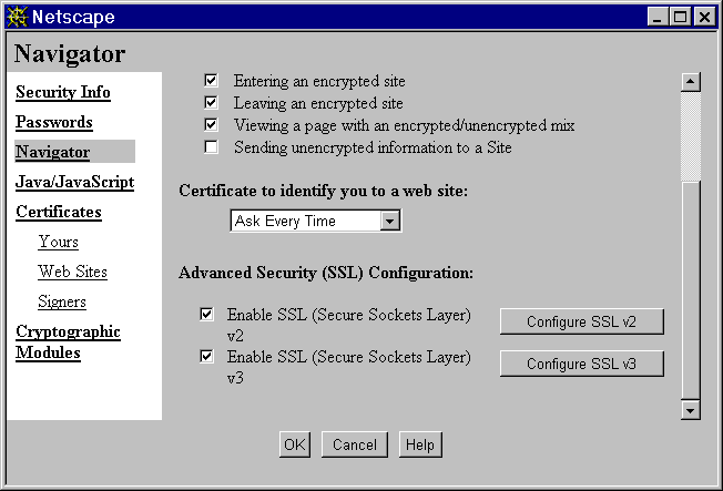Netscape Picture 4