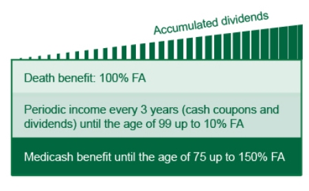 Wealth Assurance