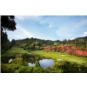 Red Mountain Golf Club, Phuket - Thailand