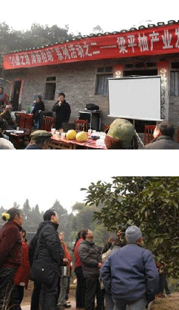 Supporting pomelo farmers in western China