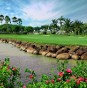Komplimen green fee di klub golf mewah di Indonesia kapan saja Komplimen green fee di klub golf mewah di Indonesia kapan saja