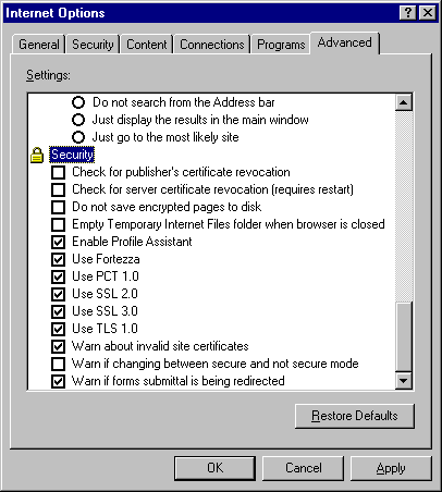 Internet Explorer 5 Picture 4