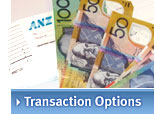 Business Transaction Options