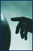 TF_pic5