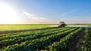 Agri Business