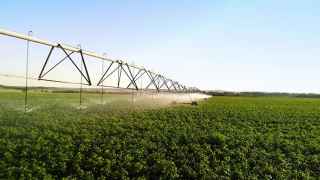 Agri Business