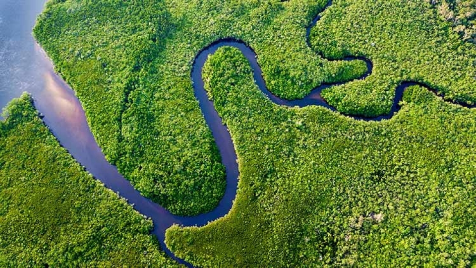 Environmental sustainability