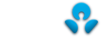 ANZ Logo