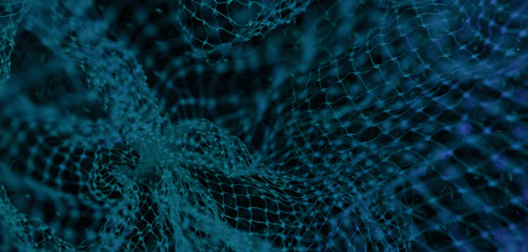 Four ways we’re in a new era of payments | ANZ