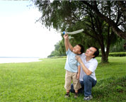 Insurance Insurance